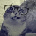 nyasoreo