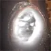 ccshadow