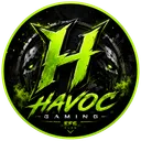 havocgaming.