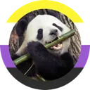 binbinuser