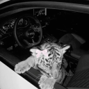 avatar bodrumcontact