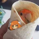 birdwrap avatar