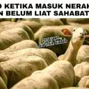 alinur02978