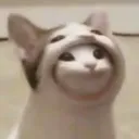 squishy9999