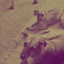whiskeyscoob