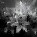 avatar ⊱ withdrawal ⊰