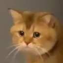 logancourageous