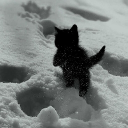 avatar *et[@etherealexist]