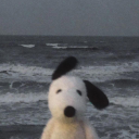 avatar roooooooooooooba