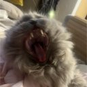 Discord Avatar