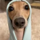 wetwheat avatar