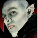 Majster