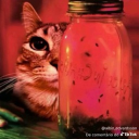 avatar 𝓔𝓺𝓵𝓲𝓹𝓼𝓮