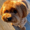 /assets/new/default_avatar-fcd562686c5511f2d561ecf4fff7f6a7dcf6df7268f46e15455f9d2ab139441c.png