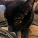 mznarnia#7996's avatar