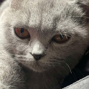 Discord Avatar