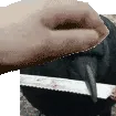 cockroach.jpeg avatar