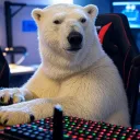 shirokuma4