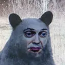 stevebearscemi