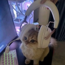 Discord Avatar