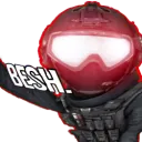 dissedsheep