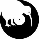 therealdjkiwi