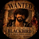 vxblackbirdxv