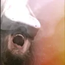 shutinneetvrc