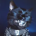 sailorjheri