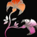 faerlygraceful