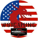 ws1gaming