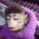 avatar הילה הדרכת מחשבים