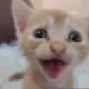 freazik