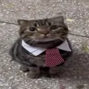 ghomp
