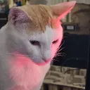 goldenpotato_