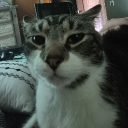 Discord Avatar