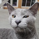 avatar 𝕵𝖎𝖓𝖝𝖊𝖉