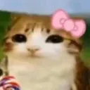 oogie_woogle