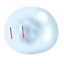 fuuno.