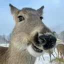 wuzge