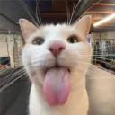 wuzge