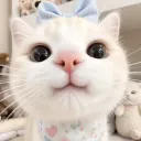 delbisky