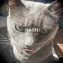 soynashi