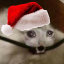 avatar Driver_fan_764