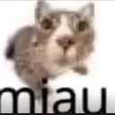 ctazix