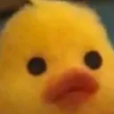 ducky_odwyer