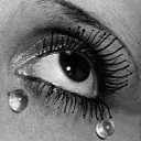 .al.qamar.
