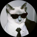avatar Cat