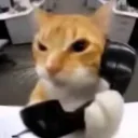 rtx_fred