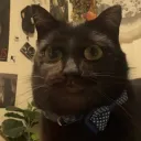strmhy
